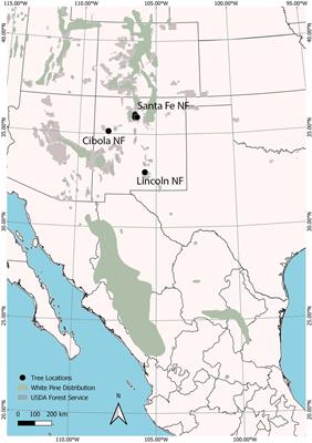 Quantitative Disease Resistance to White Pine Blister Rust at Southwestern White Pine’s (Pinus strobiformis) Northern Range